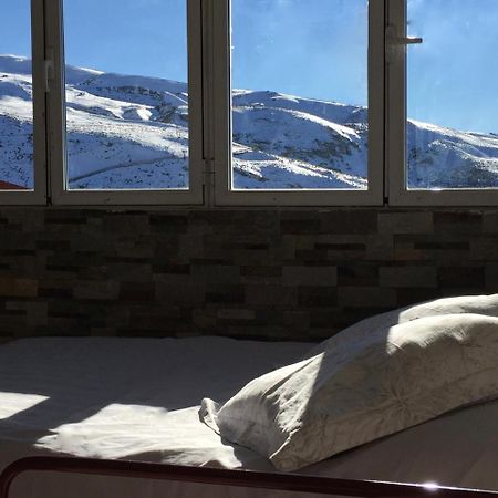 Sol Del Sur Sierra Nevada Lejlighed Eksteriør billede